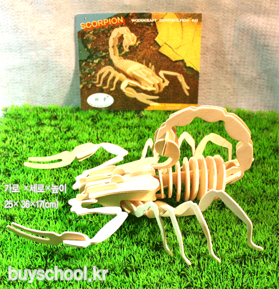 SCORPION(전갈)