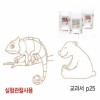 열변색그림붙임딱지(카멜레온+반달곰)