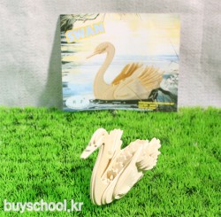 SWAN(백조)